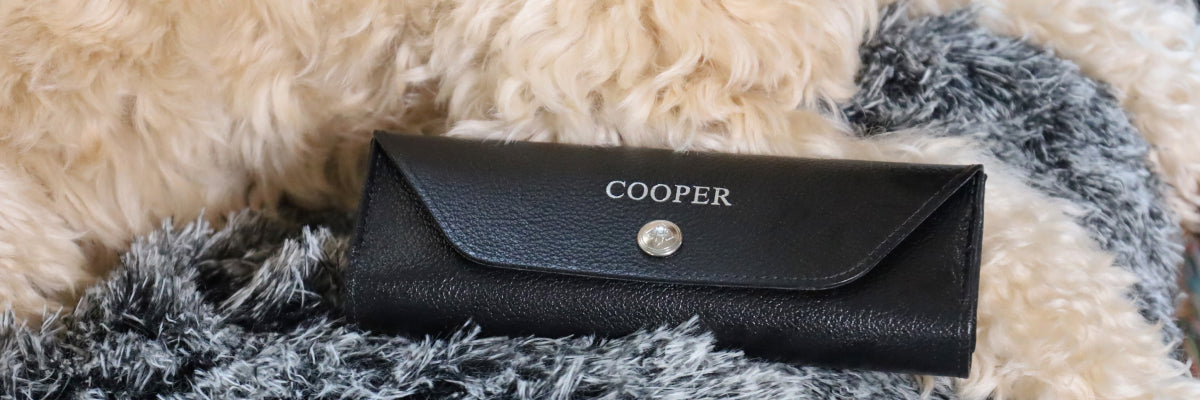 Pet Pill Cases