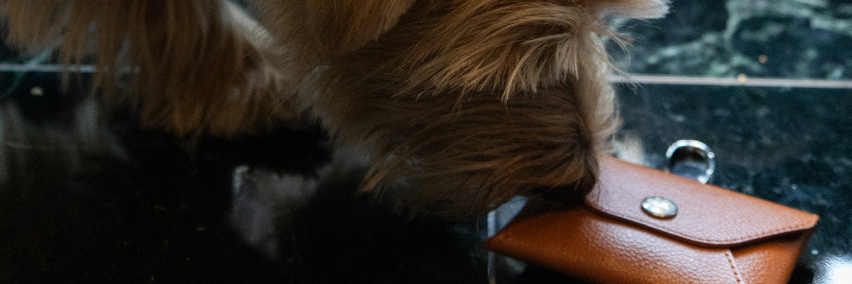 Christmas Gifts For The Pet Lover